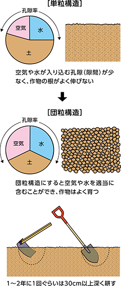 第1回：次年度に向けた土作りについて