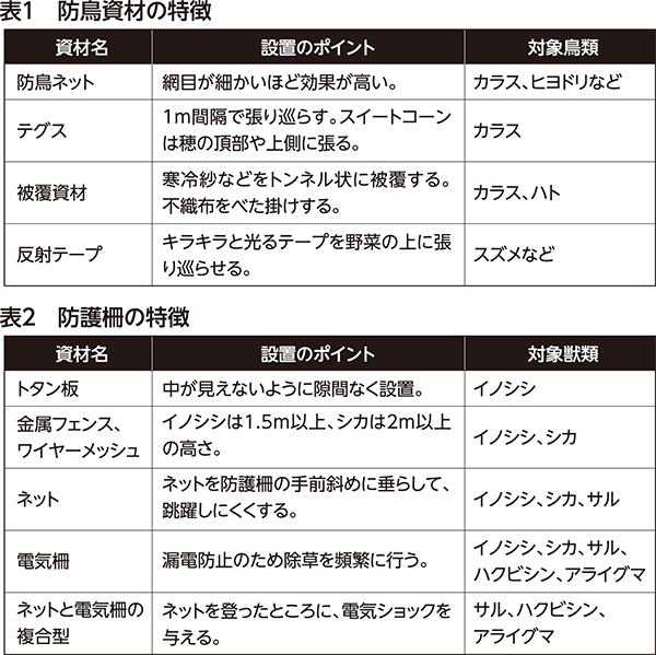 第46回：鳥獣害から菜園を守る