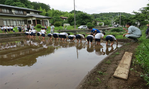 農業を通じ地元小学校と触れ合う